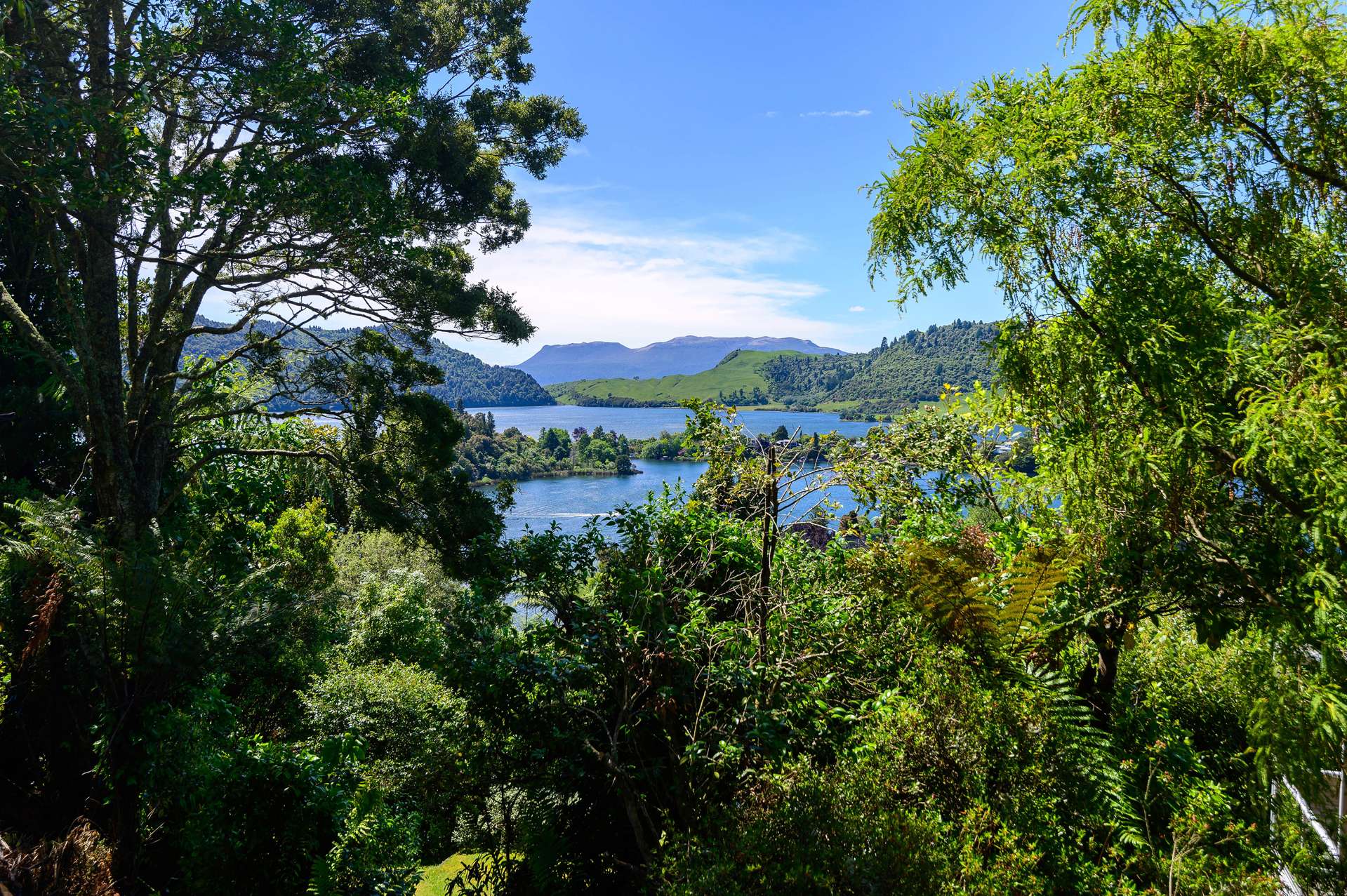 47 Summit Road Lake Okareka Rotorua Houses for Sale One Roof