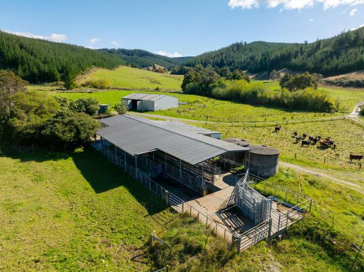 229 Teapot Valley Road Brightwater_1
