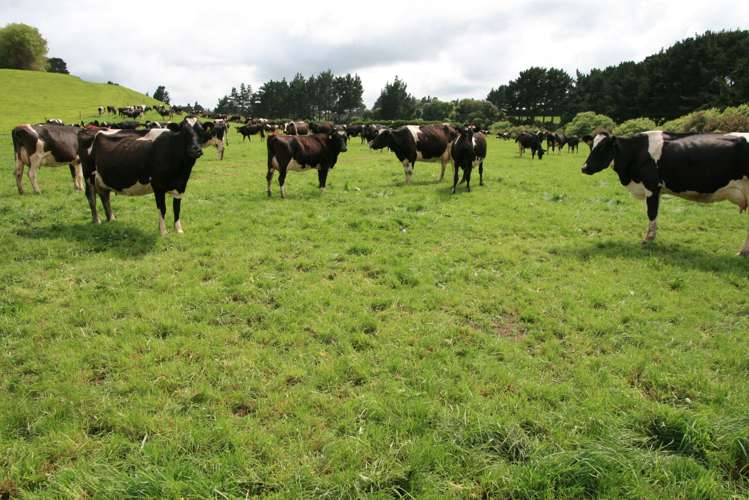 178 Omahuru Road Okaiawa_7