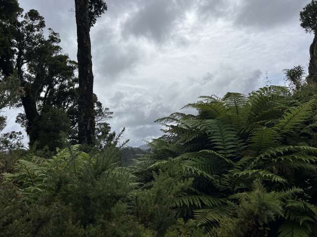 Lot . State Highway 6 Barrytown_3