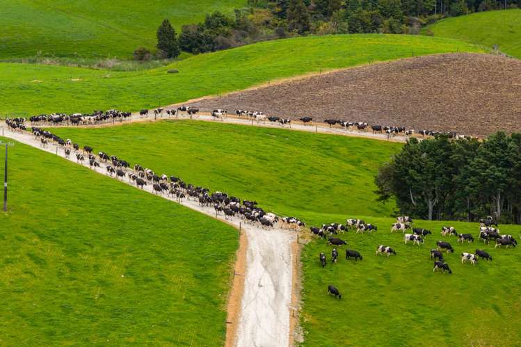 901 Pukehuia Road Tangiteroria_22