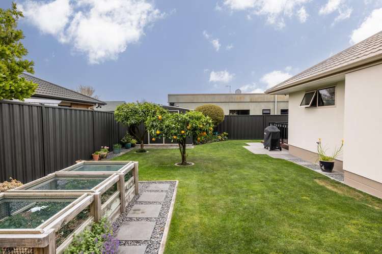 43 Palmbrook Avenue Havelock North_17