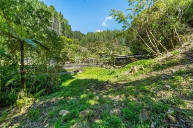 144 Pinehaven Road_2