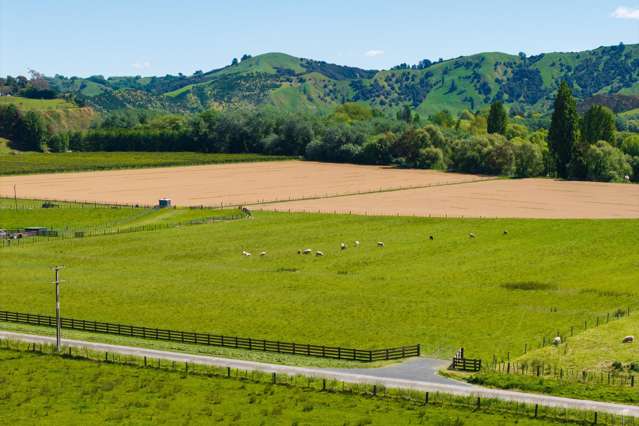 Lot Lot 2 DP 578365, Poynter Road Te Karaka_2