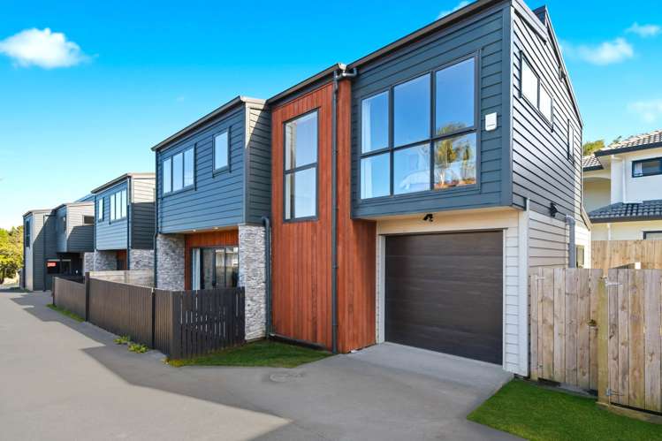 84b Francis Street_0