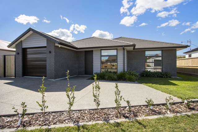 Modern Home in Katikati