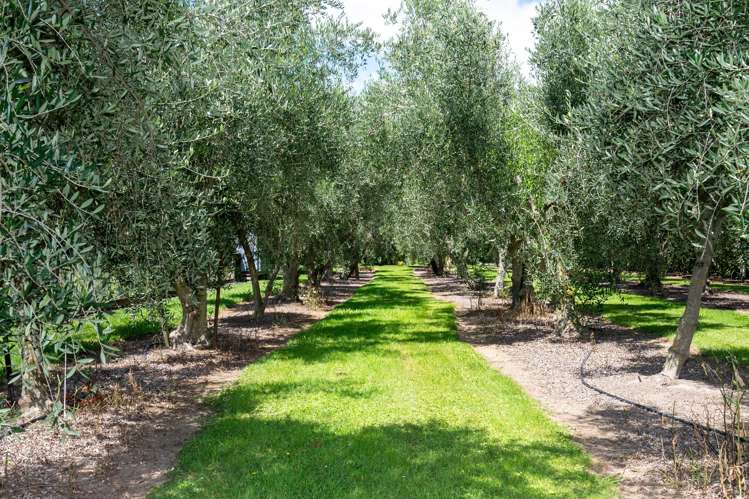 438 Twyford Road Twyford_33