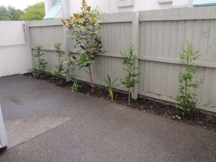 164b Strickland Street Sydenham_10