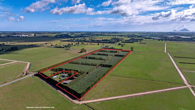 469 Western Drain Road Edgecumbe_15