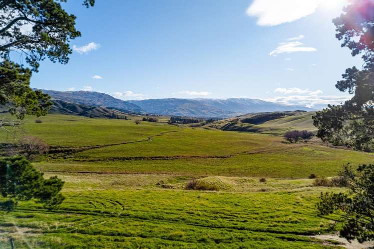 187 Hawksburn Road Nevis_26