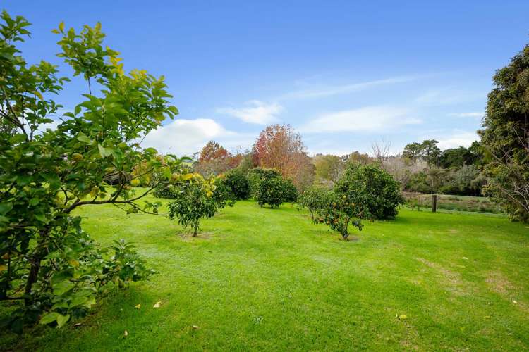 19 Valley Road Waitoki_18