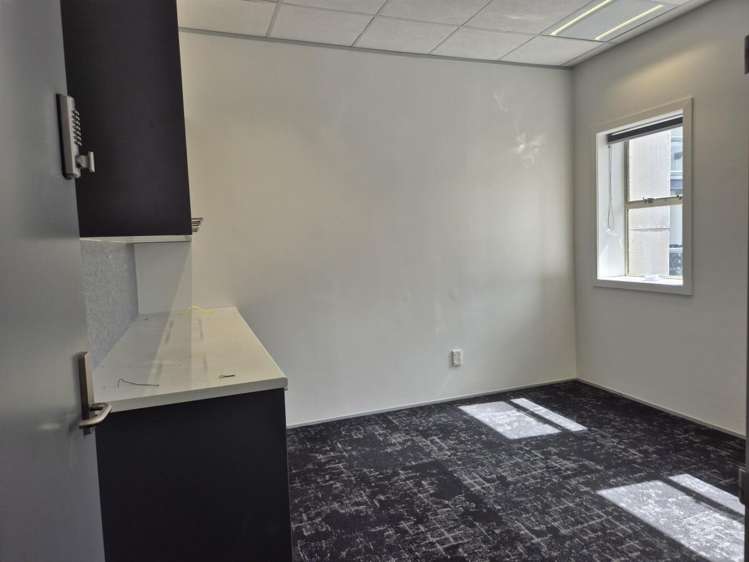 Level 2, 100 Tory Street Te Aro_5
