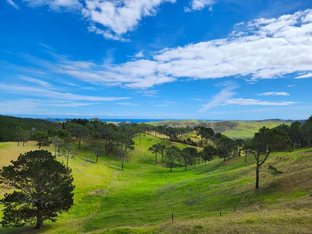 Prime Coastal Grazing Block