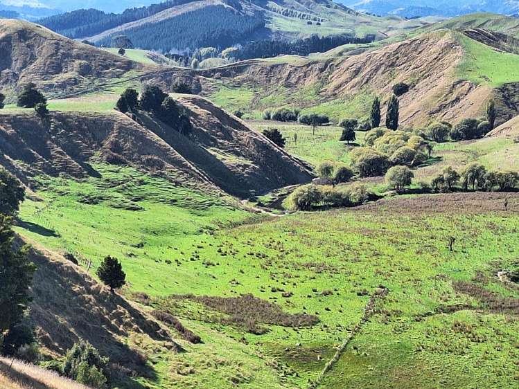 Mangaone Road Pongaroa_6