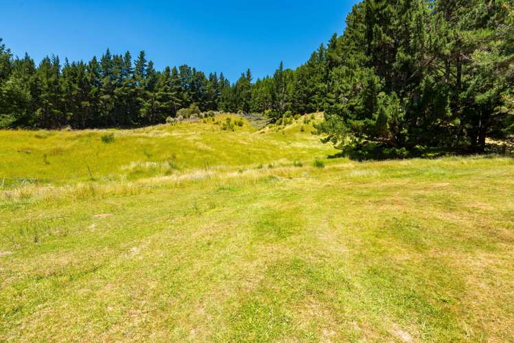 477 Wakamarina Road Canvastown_12