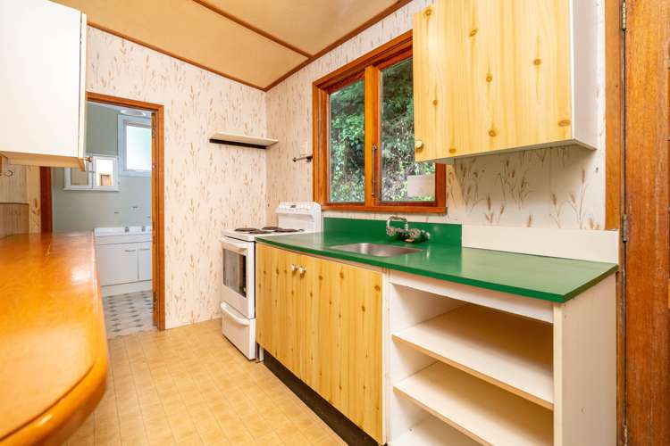 70 Buccleugh Street North East Valley_12