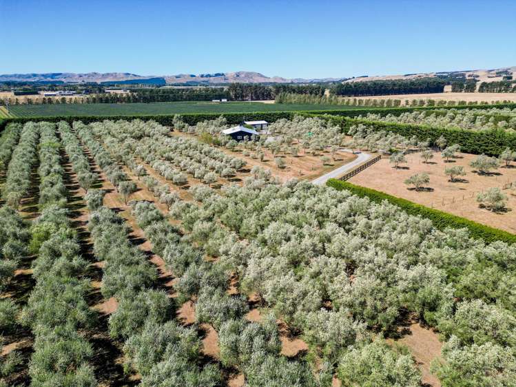 399a Lake Ferry Road Dyerville_1