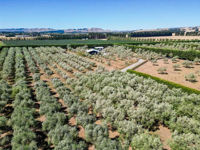 399a Lake Ferry Road Dyerville_1