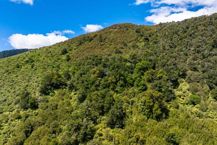 148 Tunakino Valley Road Rai Valley_25