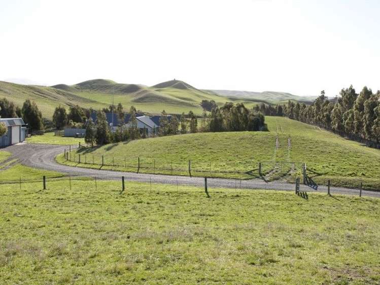 328 Caseys Road Seddon_14