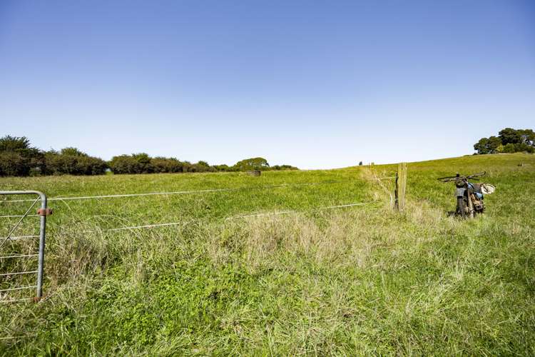 679 State Highway 23 Whatawhata_11