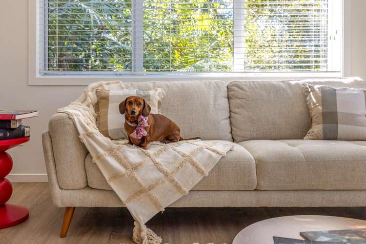 35 Wilma Road Ostend_7