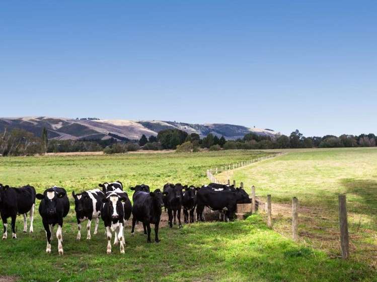 17 Bardsey Street Mosgiel_14