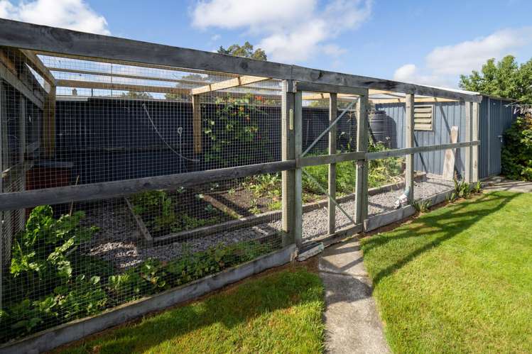 46 Grove Street Tinwald_17