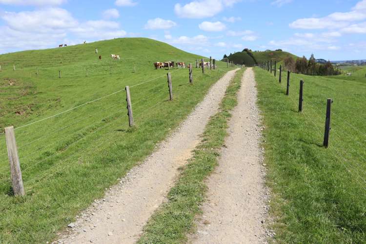 892 Tarata Road Kaimata_19