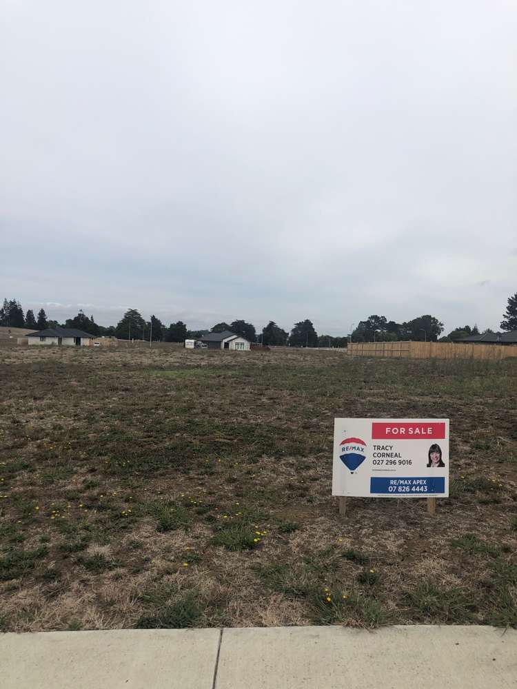 Swan Road Te Kauwhata_13