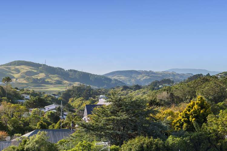 5/8 Middleton Road Johnsonville_5