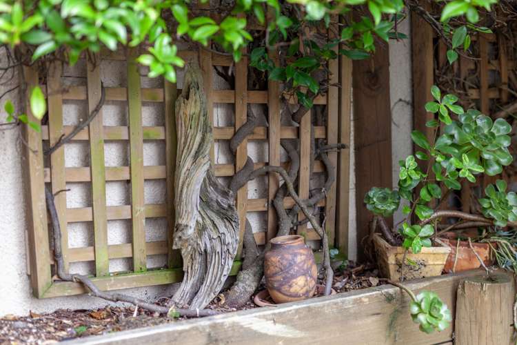 334C Rosetta Road Raumati Beach_26