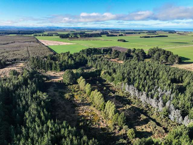 746 Lawson Road Awarua_1