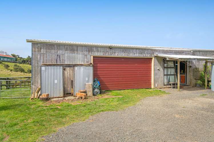 211 Wilson Road Helensville_29