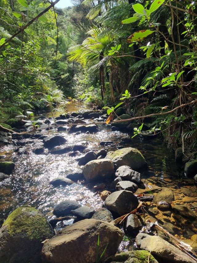 867 Tuateawa Road, Little Bay Tuateawa_4