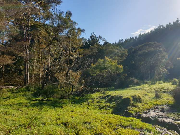 Sterling Road Paparoa_9