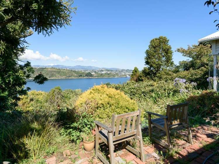 58a Kainui Road Hataitai_5