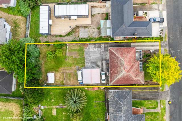 878sqm Goldmine - Consent Approved!