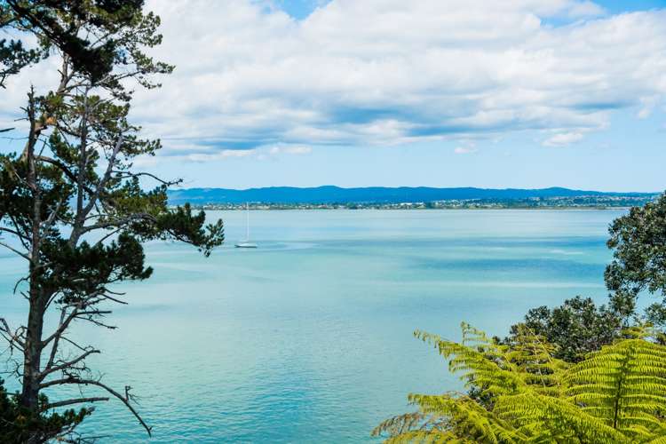 50 Rosecamp Road Beach Haven_7