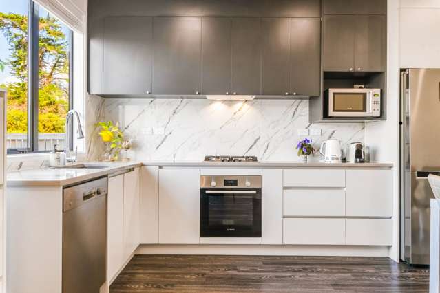 13 Stroom Street Flat Bush_4