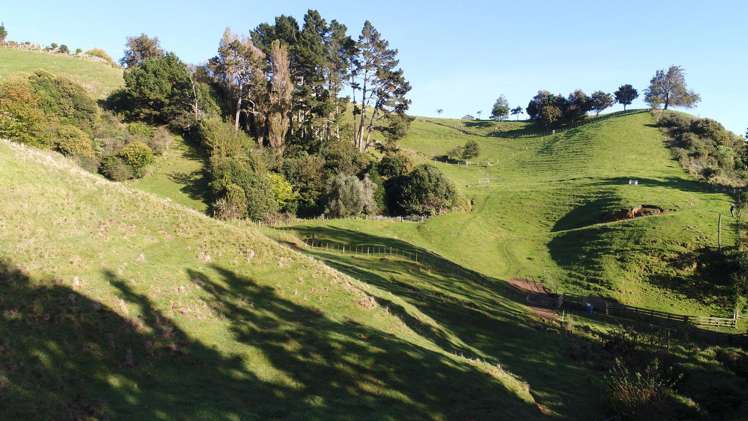 371 Upper Ohauiti Road Ohauiti_17