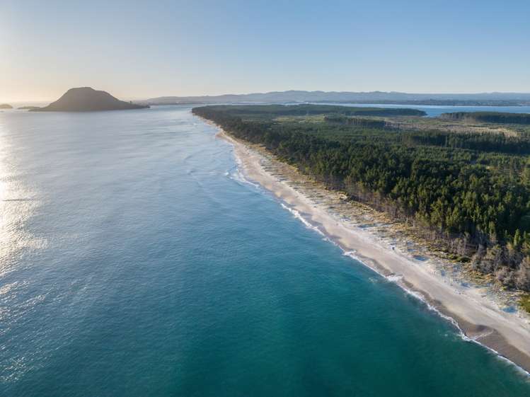 205 Matakana Island, 148 HA Matakana Island_9