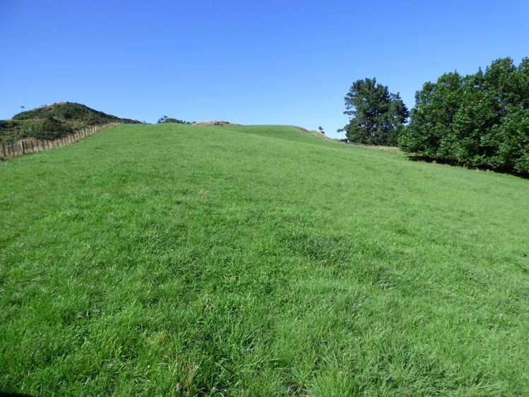 836 Waitomo Valley Road Waitomo_8
