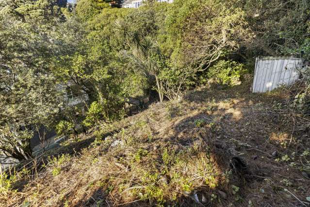 2/12 Te Anau Avenue Hataitai_3