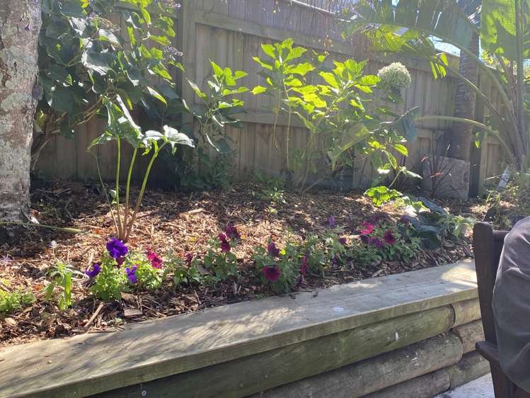 100 Centennial Avenue Waitara_48