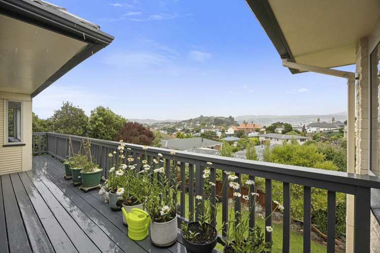 10 Meuse Lane Andersons Bay_2