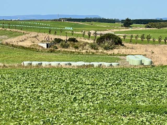 135 Orr Road Waimatua_4