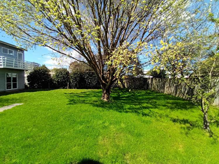 23 East Street Greytown_23