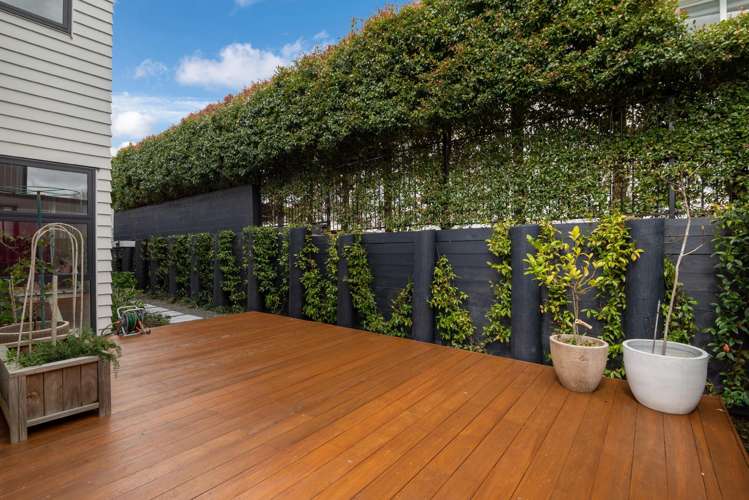 61A Castor Bay Road Castor Bay_41