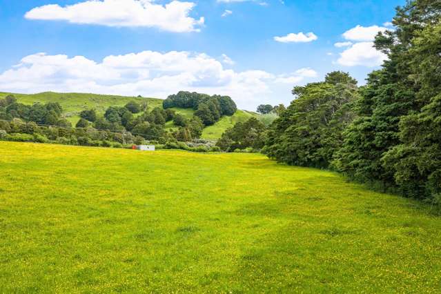 723 Whangaripo Valley Road Whangaripo_1